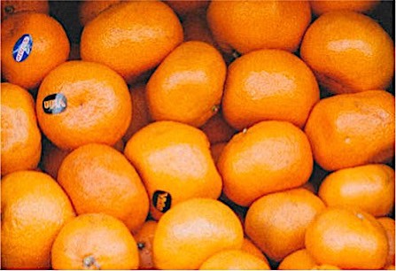 oranges resized
