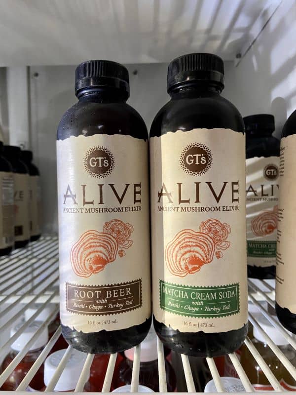 GT's Organic Alive Mushroom Elixir