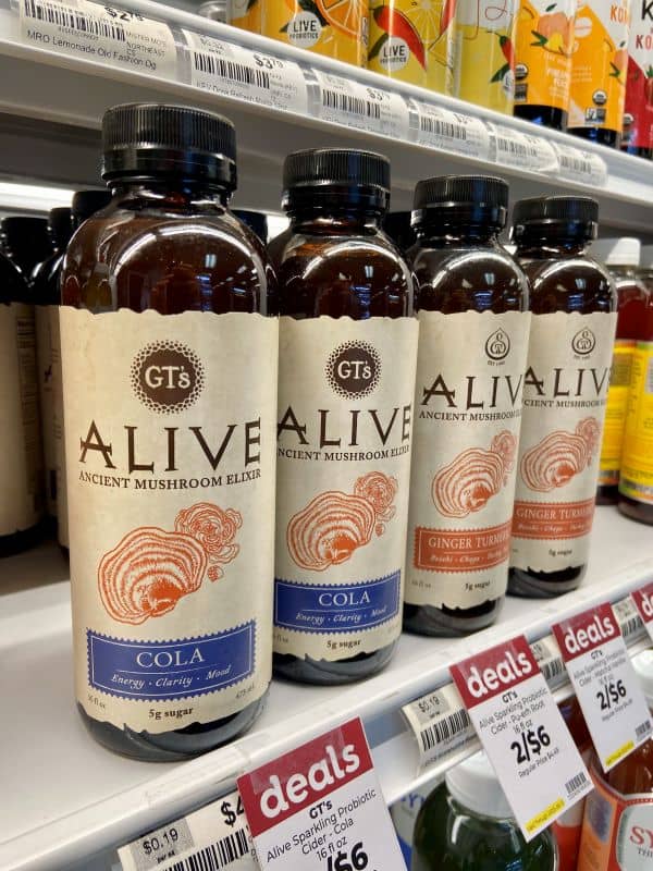 GT's Alive Ancient Mushroom Elixir