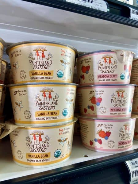 Painterland Sisters Organic Skyr Yogurt
