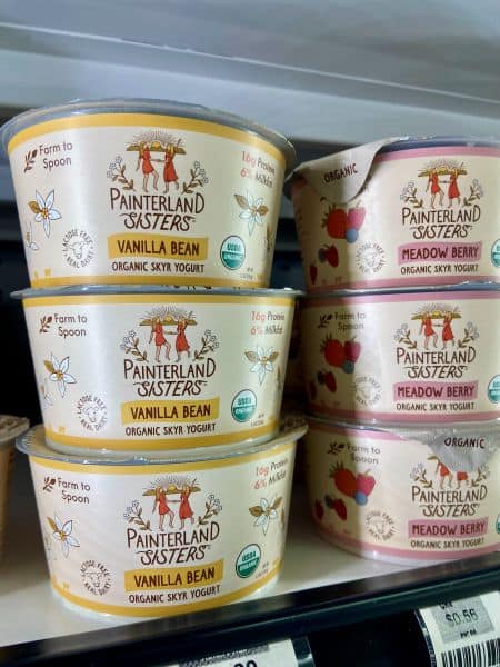 Painterland Sisters Organic Skyr Yogurt
