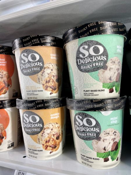 So Delicious Dairy Free Non Dairy Frozen Dessert